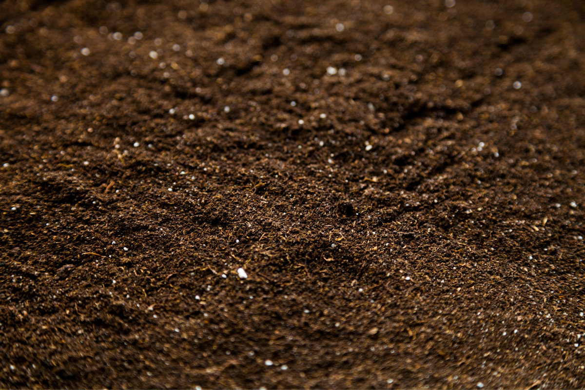 Supplies & Potting Soil
