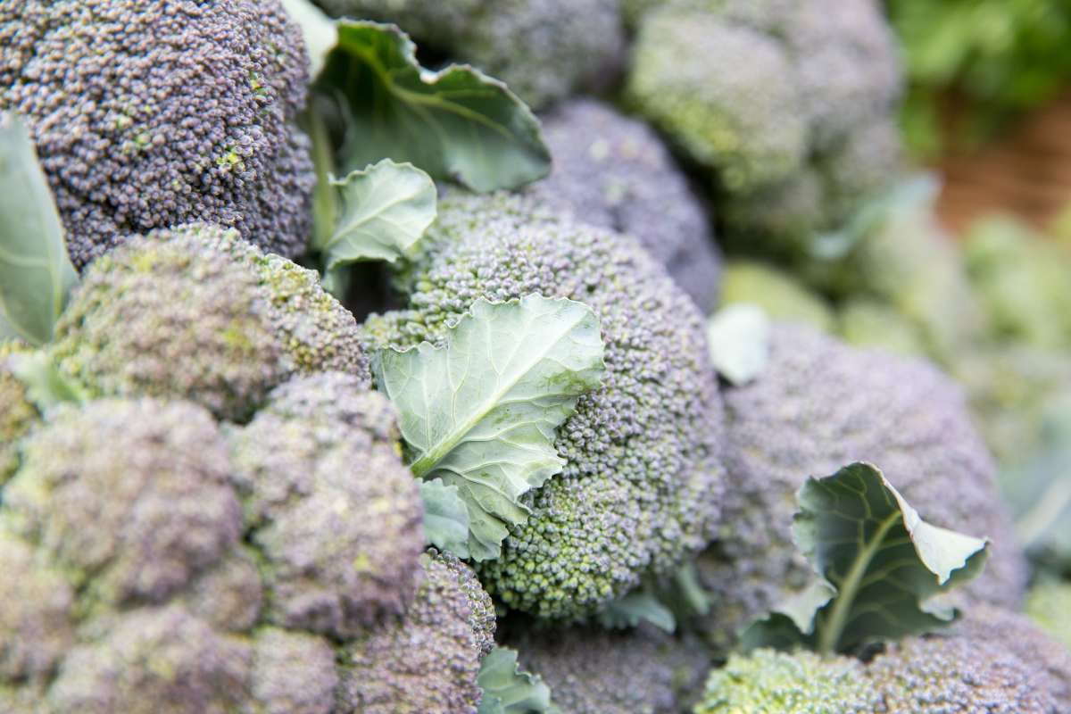 Broccoli