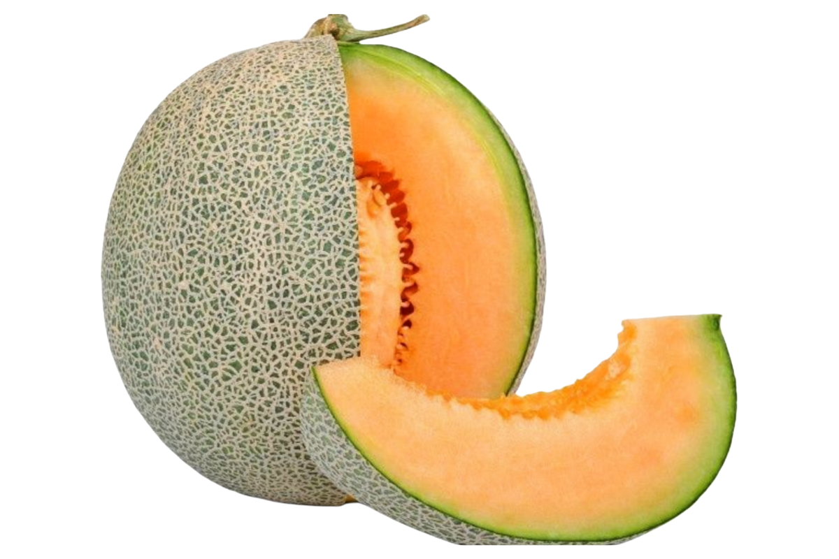 Cantalope
