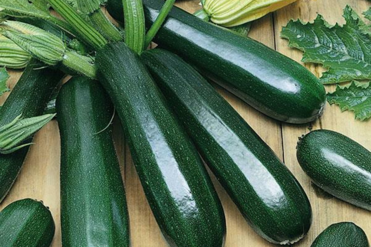 Zucchini