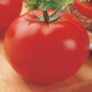 Tomato Big Beef