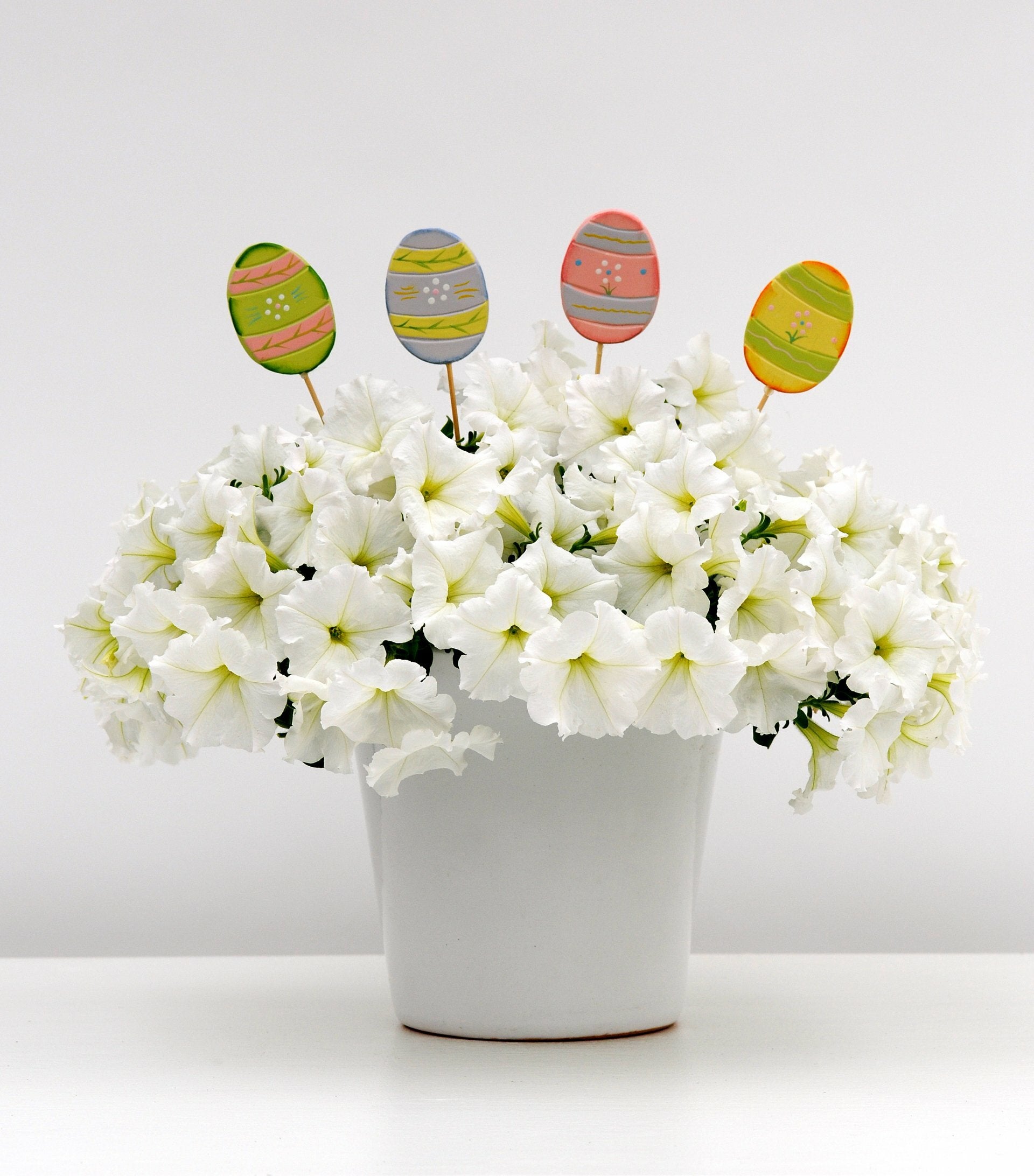 Petunia Wave White Pot