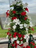 Red and White Impatiens Bag