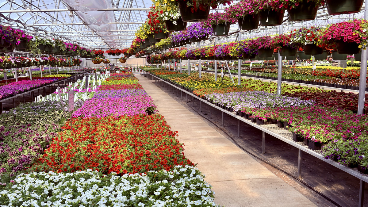 Spring Greenhouse | Garden Center in Lake Elmo, MN | Country Sun Farm