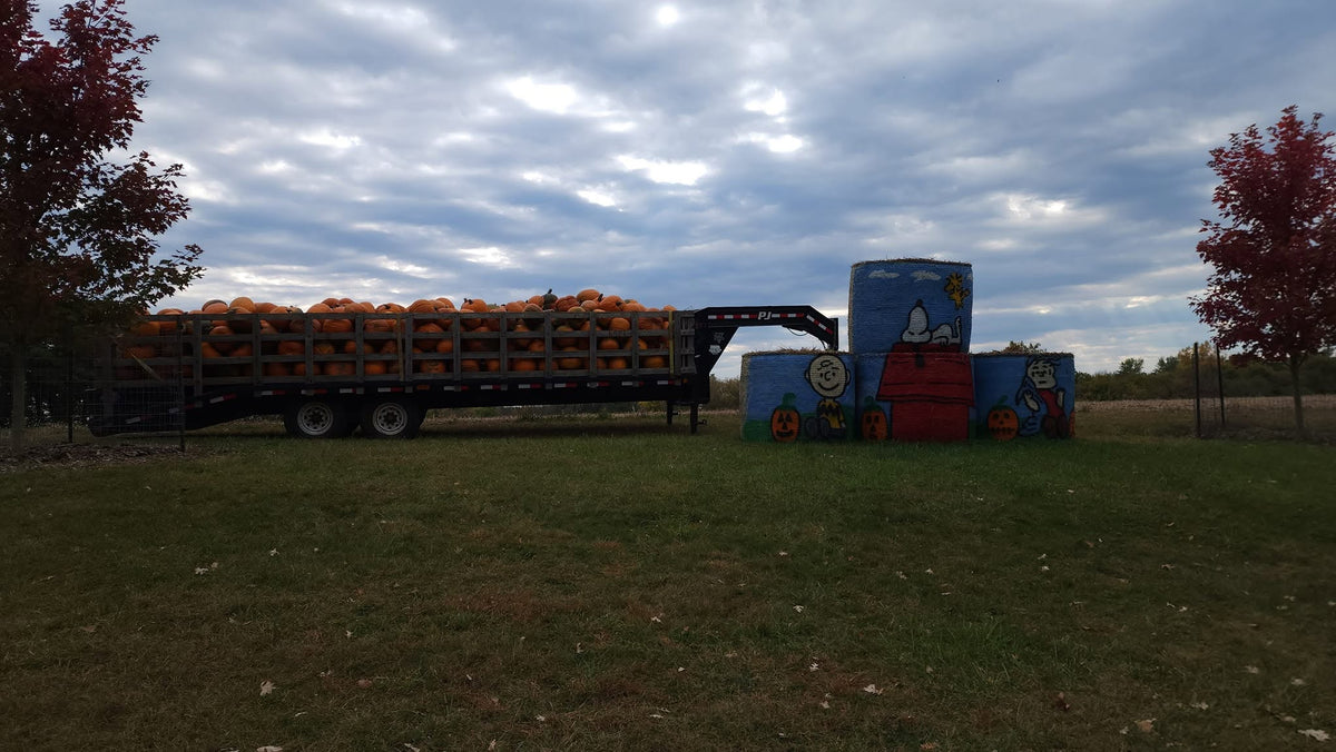 A large flatbed trailer loaded with orange pumpkins parked on a grassy field under a cloudy sky, with painted blue and red farm equipment or structures beside it and trees with red leaves at both sides.