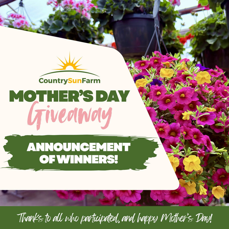 Promotional graphic for a CountrySunFarm Mother's Day Giveaway, featuring a large white diagonal banner with green and pink text over a background photo of hanging flower baskets and blooming petunias in pink, purple, and yellow.