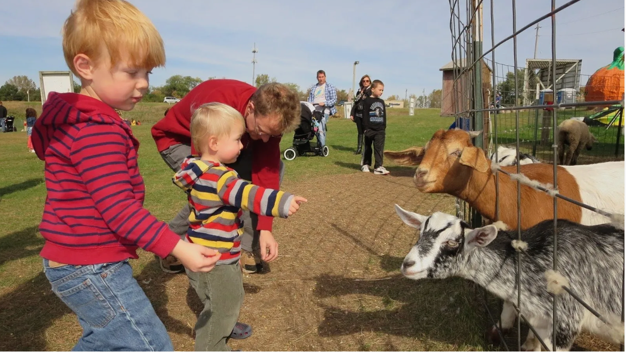 Children interacting with animals at a petting zoo