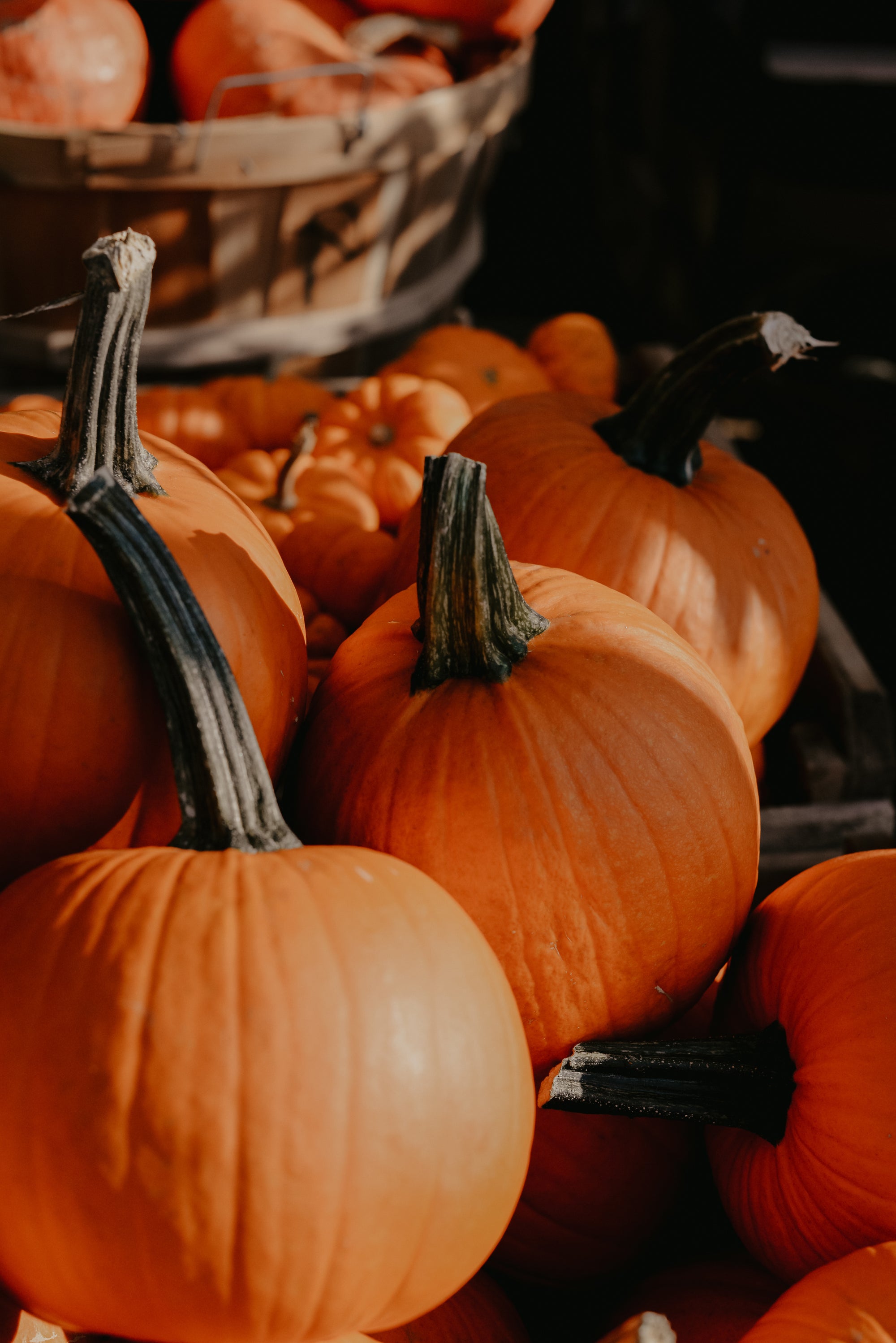 A pile of orange pumpkins