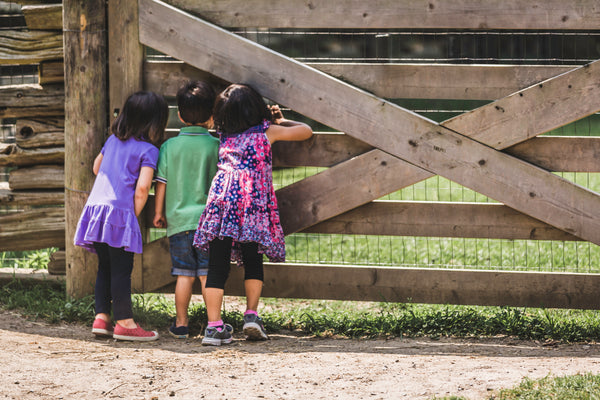 Three children looking through a fence on a farm