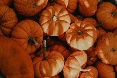 Image of pumpkin varieties